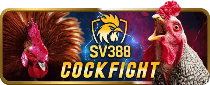 Chương trình hoàn trả hàng tuần mm8